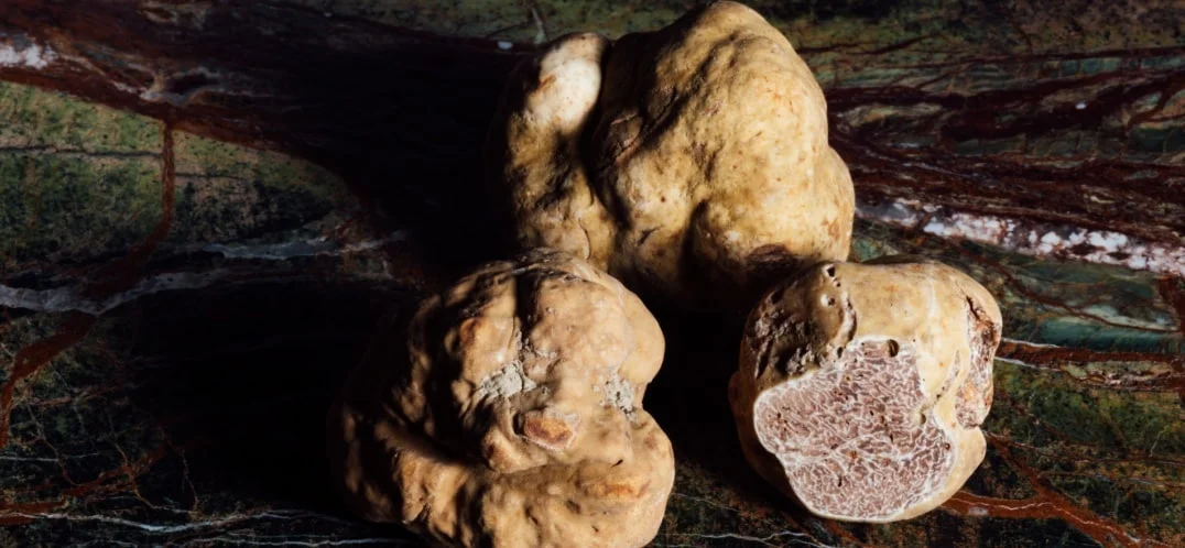 Come funziona la fermentazione del vino?