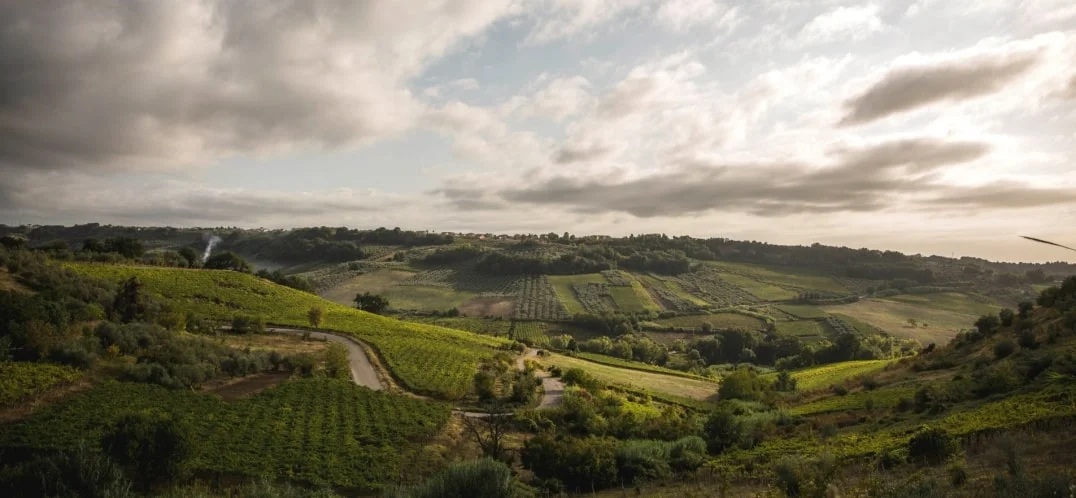 Il Chianti e il cambiamento climatico