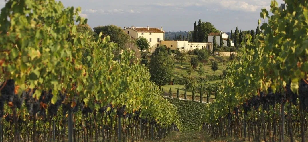 Cru: significato e origine